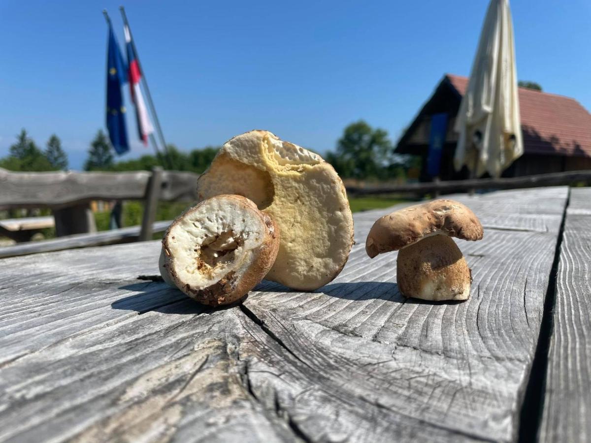 Planinski Dom Jance Lublaň Exteriér fotografie