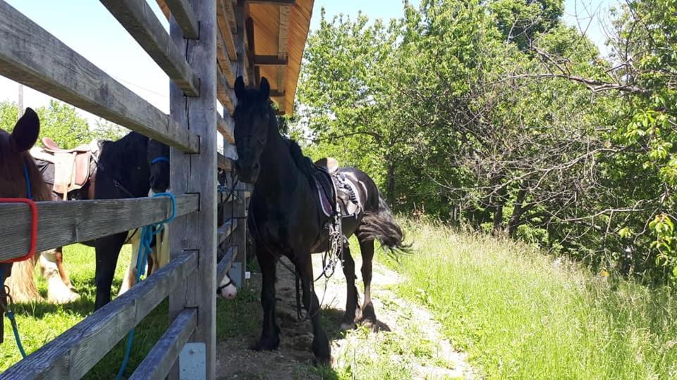 Planinski Dom Jance Lublaň Exteriér fotografie